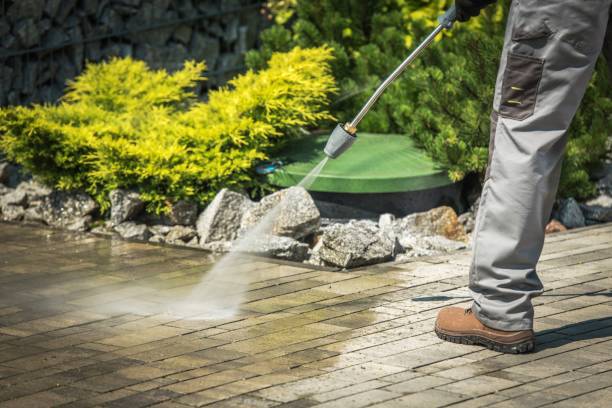 Animal Enclosure Cleaning in New Port Richey, FL